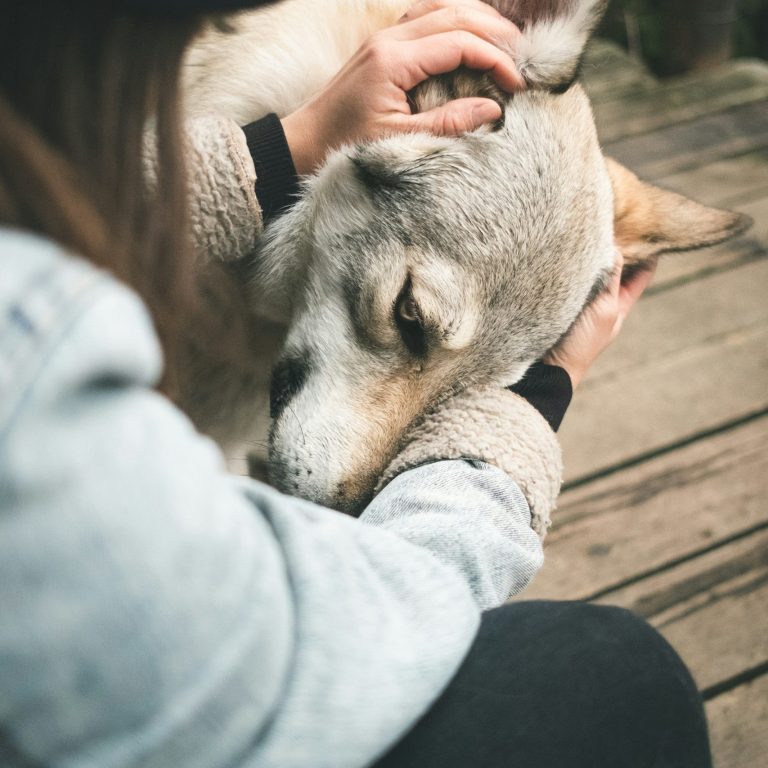Eine Frau streichelt ihren Hund, der mit traurigem Blick seinen Kopf gegen ihre Hand drückt.